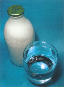 Photograph of a bottle of milk and a glass of water