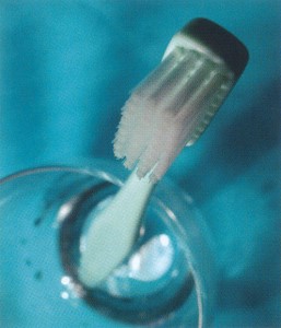 Photograph of a toothbrush standing in a glass with the bristles upwards taken from above